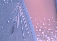 入围戛纳电影节，欧美风国漫，猫鼠联合拯救世界《动物特工局》