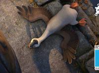 《妈妈咪鸭》曝“水逆”特别视频