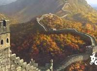 《妈妈咪鸭》曝全新视频网友：实在感人！