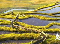 《妈妈咪鸭》——小鸭子挺可爱的，全场小朋友超级开心