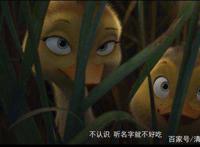 国产小黄鸭动画大电影《妈妈咪鸭》,一部满是套路的电影