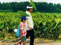 7月30日《菊次郎的夏天》宫崎骏久石让动漫作品音乐会郑州站来袭