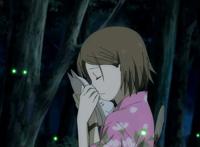 剧场版动漫明明那么多，我却对《萤火之森》情有独钟！