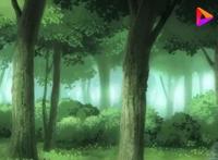 萤火之森：终于可以触碰到你了，虽然用尽了我毕生的力气