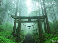 恋爱番《萤火之森》治愈更致郁，温暖孤独的男神银，你是否喜欢？