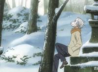 恋爱番《萤火之森》治愈更致郁，温暖孤独的男神银，你是否喜欢？