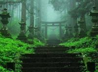 治愈动漫《萤火之森》取景地,森林里的神社仿佛仙境