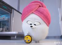 爱宠大机密2——告诉你宠物的秘密（纯属虚构）