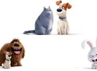 《爱宠2》颇具“套路”的剧情和隐藏的“致敬”你发现了吗？