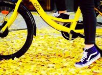 退不回押金的ofo，还记得你的前任小黄人、皮卡丘和熊本熊吗？