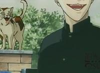 日本动漫中唯一“靠脸输出”的主角，《冷面天使》值得一看！