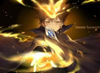 热血老番《家庭教师》惨遭下架处理，我大家教都亡了