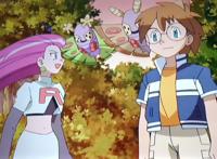 精灵宝可梦：再见毒粉蝶，武藏的初恋登场，却为梦想彼此错过