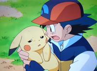 皮卡丘为小智、波加曼为小光，妙蛙种子又是为了什么不进化？