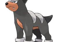 宝可梦No.228，No.229——戴鲁比，黑鲁加