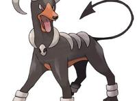 宝可梦No.228，No.229——戴鲁比，黑鲁加