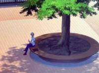 魔法水果篮子：由希在众人看来是完美的，他自己却觉得很无趣