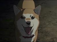 公寓的第十名男子，不同的性格，凑齐了十个人