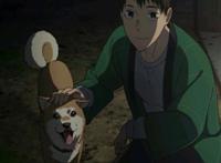 强风吹拂-新的开始