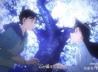 即将在中国上映的精彩岛国动画电影，有你pick的吗