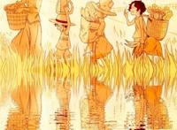 海贼王收藏必备壁纸：萨博化身剑豪，青雉直面黑暗