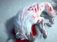 西行纪播出，这部动漫中，所有的看点都在这了