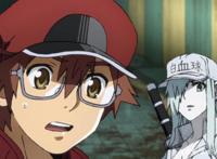 工作细胞black8话先行图为了肝细胞以后不能熬夜追番