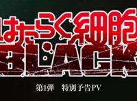 《工作细胞Black》第五话：T细胞工作到癫狂？救救孩子的头发吧