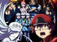 同步放送！动画《工作细胞BLACK》公开PV第二弹