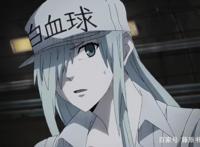 同步放送！动画《工作细胞BLACK》公开PV第二弹