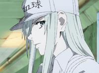 《工作细胞BLACK》首支官方预告释出，白血球姐姐超凶登场