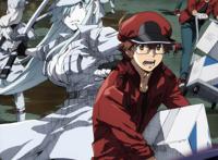 《工作细胞BLACK》首支官方预告释出，白血球姐姐超凶登场