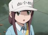 《工作细胞black》番外PV公布，网友：这不是我认识的血小板