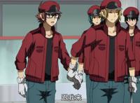 工作细胞BLACK：看到新标题时，就觉要虐了，果然前辈是高危职业