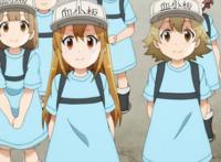 工作细胞对比black版，两个不同的身体背后的故事，各不相同