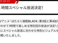 工作细胞black3-4话联播1小时硬核描绘老司机开车结局