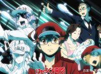 工作细胞black3-4话联播1小时硬核描绘老司机开车结局