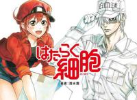 另类新作《工作细胞Black》，白血球居然是魔鬼身材的大姐姐啊！