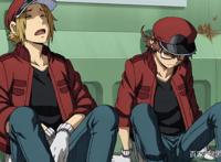 工作细胞black第2话先行图肝细胞与白细胞大姐姐的修罗场