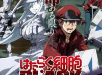 工作细胞BLACK：开始看就已经心痛自己的细胞，这是一部劝诫动漫