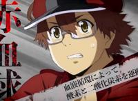 工作细胞BLACK：开始看就已经心痛自己的细胞，这是一部劝诫动漫