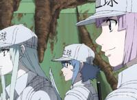 工作细胞black12话先行图心肌梗塞迎来终结的残酷命运