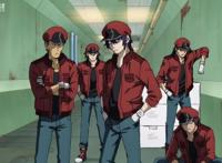 工作细胞BLACK：这部致郁压抑的新番，你看了之后是何感想？