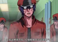 工作细胞BLACK：这部致郁压抑的新番，你看了之后是何感想？