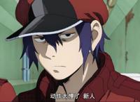 《工作细胞BLACK》：萌新红血球初遇白细胞，疑似脸红！