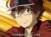 《工作细胞BLACK》：萌新红血球初遇白细胞，疑似脸红！