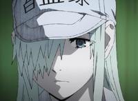 大叔的血小板长这样？《工作细胞BLACK》动画明年播出！