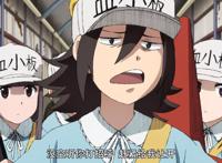 一周播三集，工作细胞Black再次迎来两连更，这次是纯粹的科普