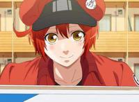 《工作细胞BLACK》动画化，看点多多，白血球居然变成了御姐！