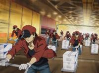 《工作细胞BLACK》动画化，生于糟糕的时代，在绝望中积极的生活